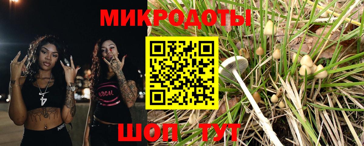 Галлюциногенные грибы прущие грибы Кириши